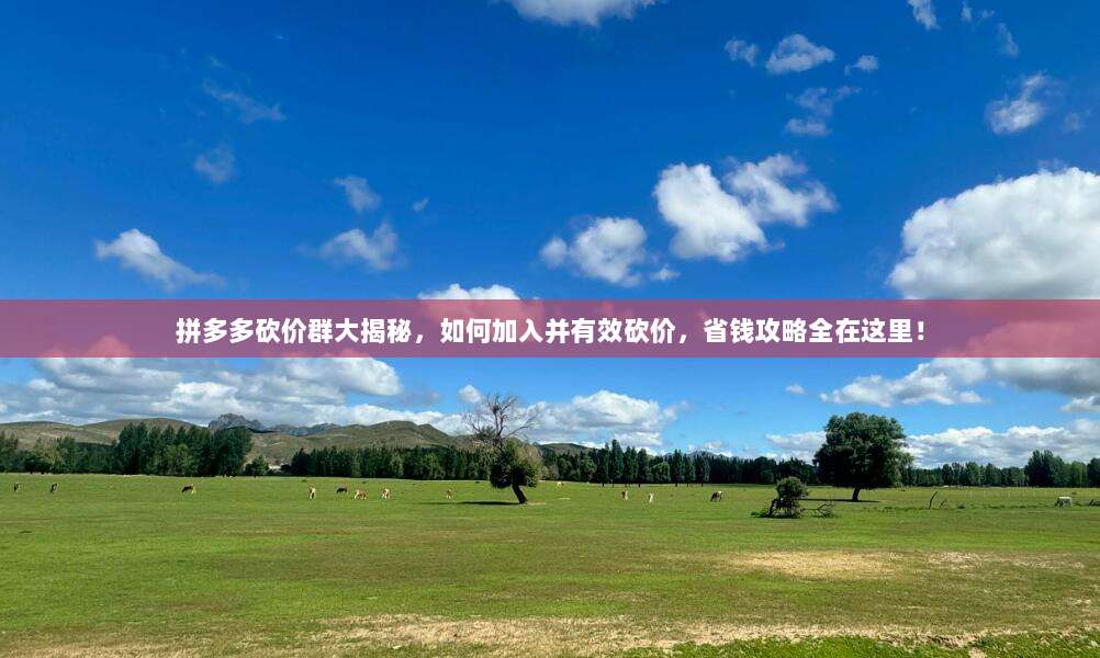 拼多多砍价群大揭秘，如何加入并有效砍价，省钱攻略全在这里！