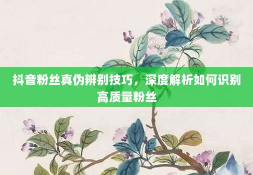 抖音粉丝真伪辨别技巧，深度解析如何识别高质量粉丝