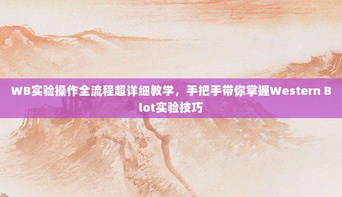 WB实验操作全流程超详细教学，手把手带你掌握Western Blot实验技巧
