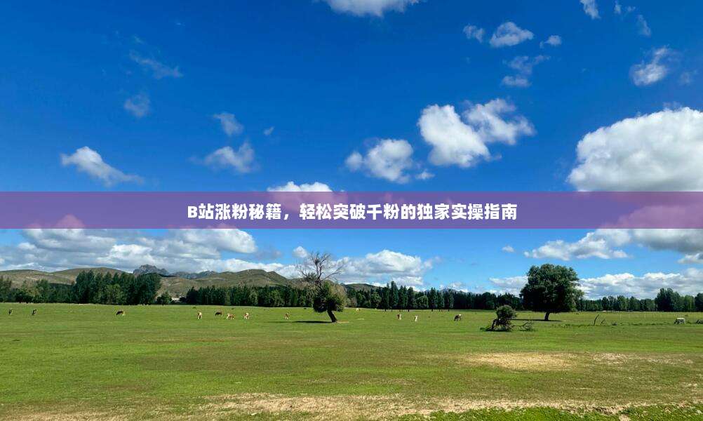 B站涨粉秘籍，轻松突破千粉的独家实操指南