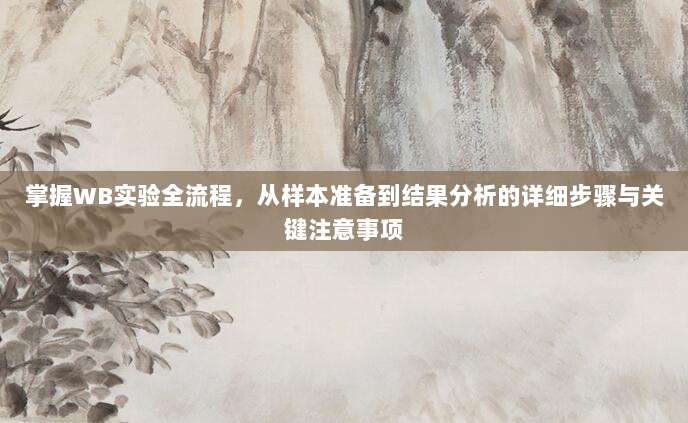 掌握WB实验全流程,从样本准备到结果分析的详细步骤与关键注意事项