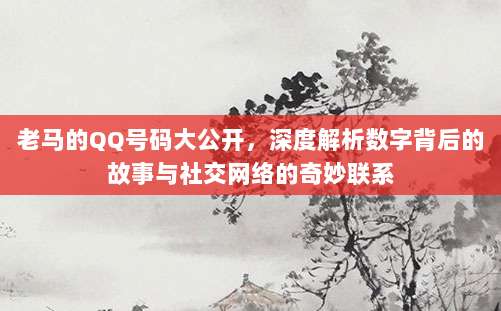 老马的QQ号码大公开，深度解析数字背后的故事与社交网络的奇妙联系