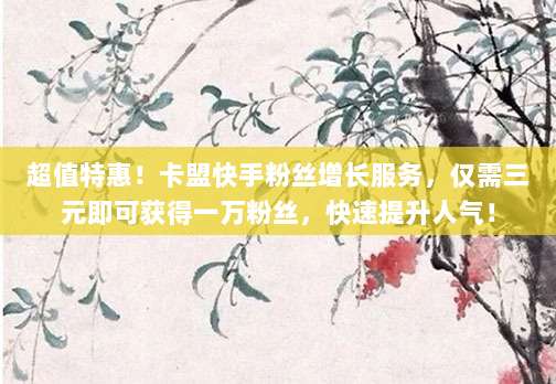 超值特惠！卡盟快手粉丝增长服务，仅需三元即可获得一万粉丝，快速提升人气！
