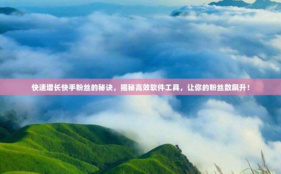 快速增长快手粉丝的秘诀,揭秘高效软件工具,让你的粉丝数飙升!