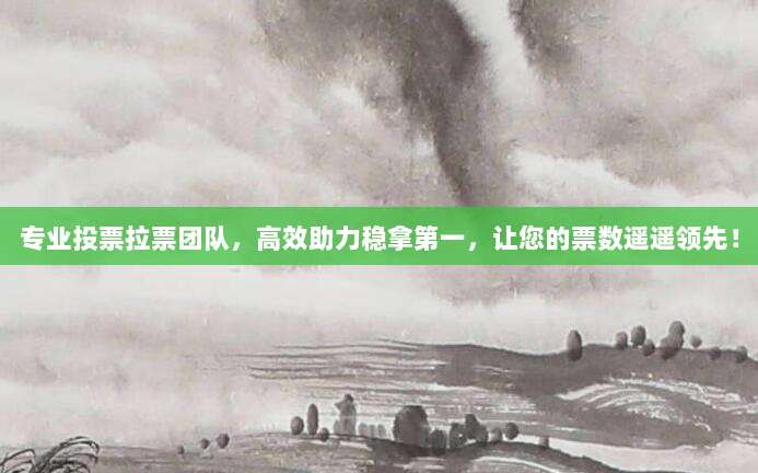 专业投票拉票团队,高效助力稳拿第一,让您的票数遥遥领先!