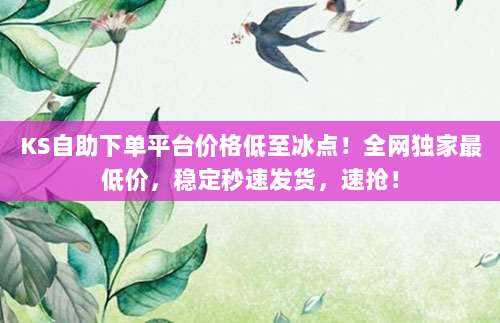 KS自助下单平台价格低至冰点!全网独家最低价,稳定秒速发货,速抢!