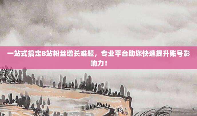 一站式搞定B站粉丝增长难题,专业平台助您快速提升账号影响力!