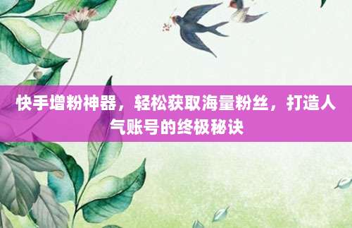 快手增粉神器,轻松获取海量粉丝,打造人气账号的终极秘诀