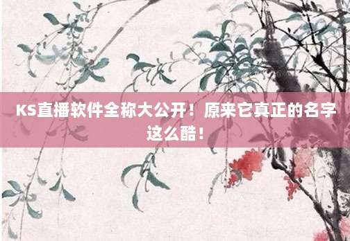 KS直播软件全称大公开！原来它真正的名字这么酷！