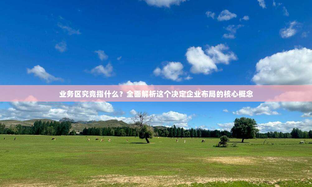 业务区究竟指什么？全面解析这个决定企业布局的核心概念
