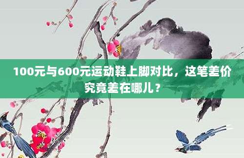 100元与600元运动鞋上脚对比，这笔差价究竟差在哪儿？